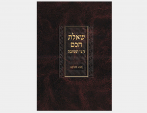 שאלת חכם - בבא מציעא - חלק א